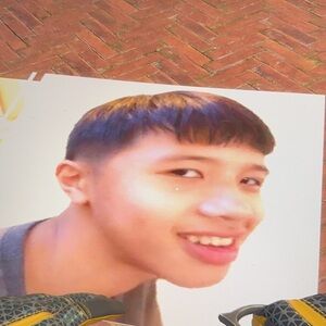 UGG Tasman Slipper Chestnut Women's Brown Suede Slippers 5955